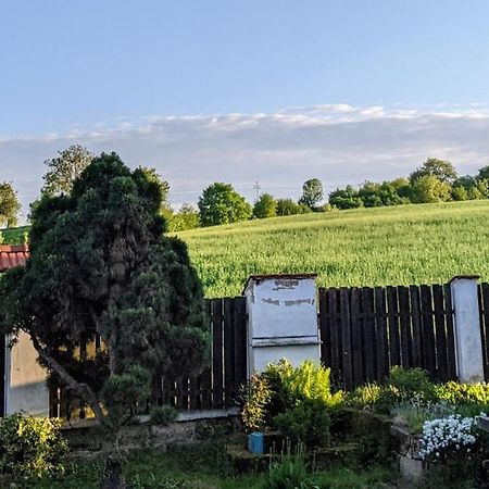 Chalupa U Rybnika Strehom Dolní Bousov Buitenkant foto