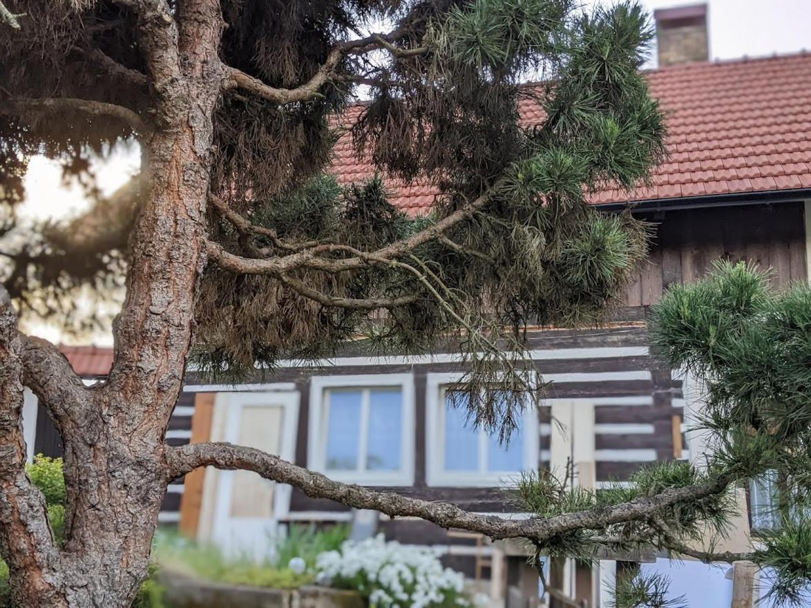 Chalupa U Rybnika Strehom Dolní Bousov Buitenkant foto