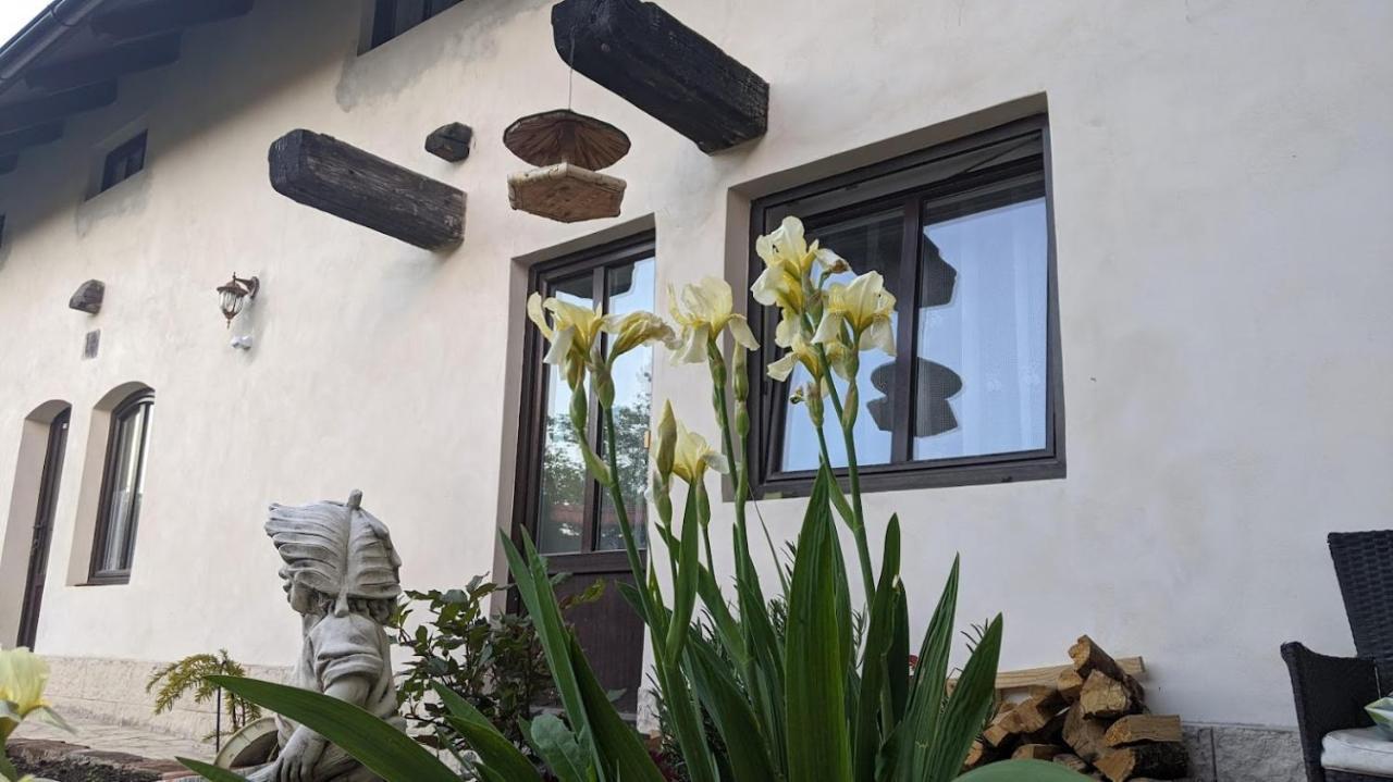 Chalupa U Rybnika Strehom Dolní Bousov Buitenkant foto