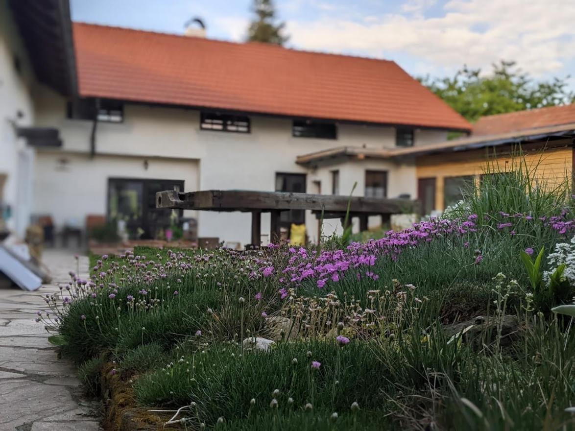 Chalupa U Rybnika Strehom Dolní Bousov Buitenkant foto